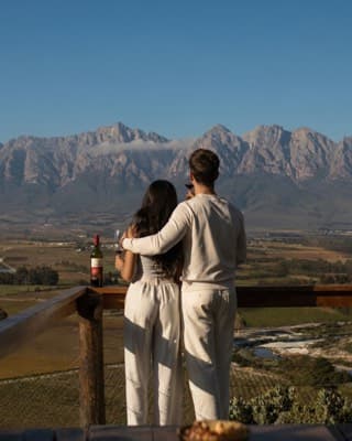 Cape Winelands